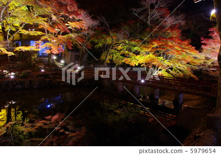 Autumn leaves Light up Iwayado 5979654