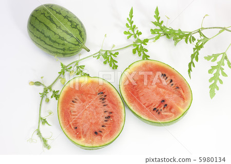 水果·西瓜 水果·西瓜 5980134