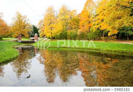 Puchkin at fall, Russia 5980181