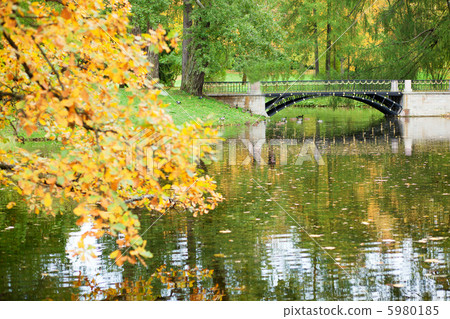 Puchkin (Russia) at fall 5980185