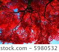染成紅色 5980532