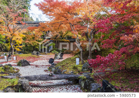 松島，秋天參觀大廳 5980573