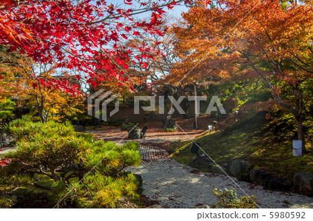 松島，秋天的秋天訪問 5980592