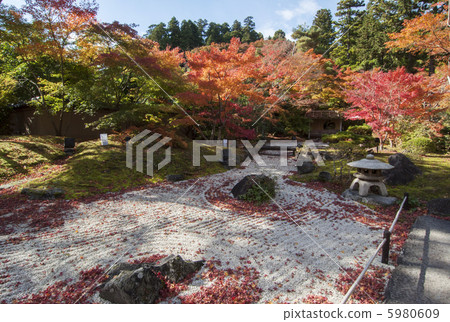 Matsushima, Garden of Yen Visitary 5980609