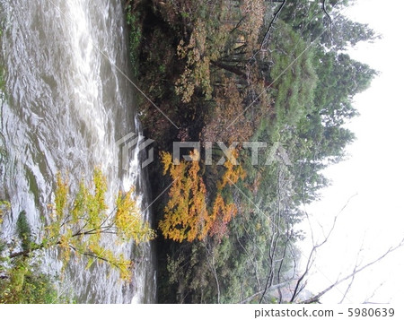 Aramami峽谷 5980639