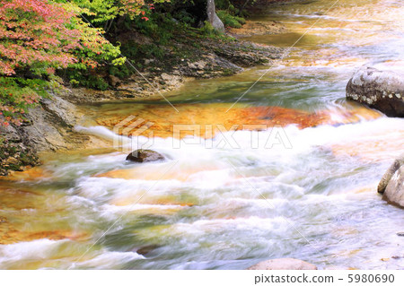 White silk floor White silk floor 5980690