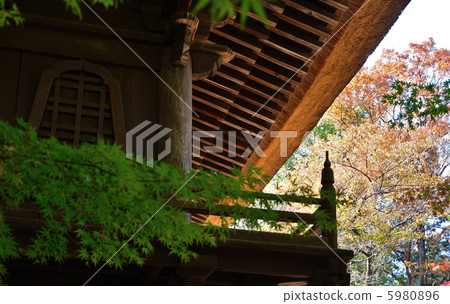 Walking Musashino / Yammon / Hirin Walking Musashino / Yammon / Hirin 5980896