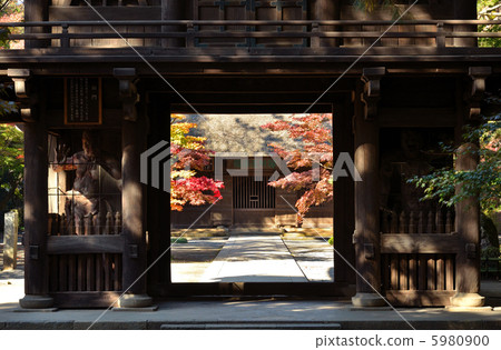 Walking Musashino / Yammon / Hirin Walking Musashino / Yammon / Hirin 5980900