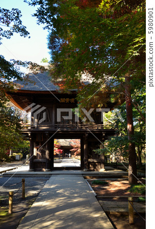Walking Musashino / Yammon / Hirin 5980901