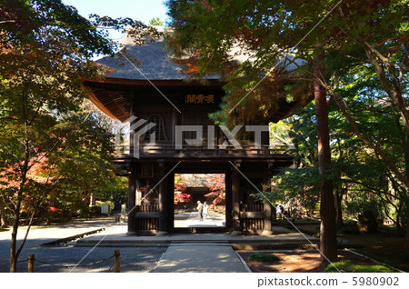 Walking Musashino / Yammon / Hirin Walking Musashino / Yammon / Hirin 5980902