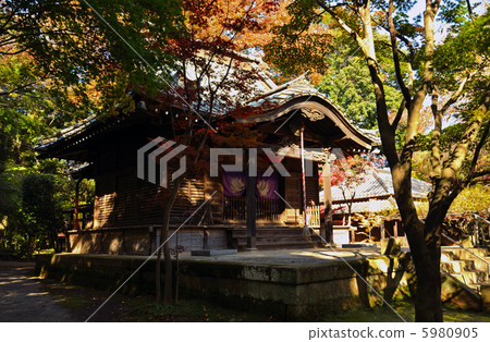 武藏野步行/半單一的Hirin寺院區 武藏野步行/半單一的Hirin寺院區 5980905