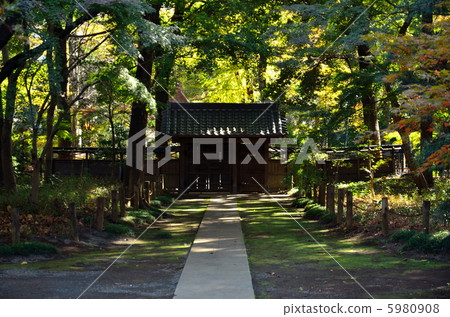 武藏野步行/半牧師Hirin寺區 武藏野步行/半牧師Hirin寺區 5980908
