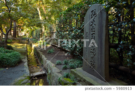 Walking in Musashino · Wild fire water stop in Hirin Walking in Musashino · Wild fire water stop in Hirin 5980913