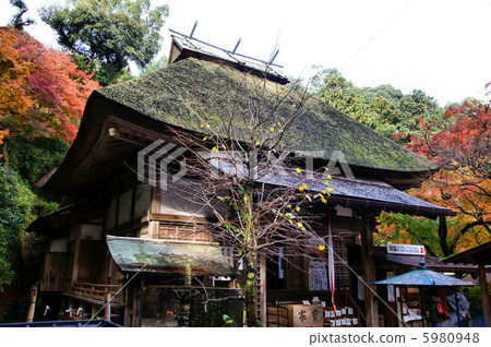 Taikodoji寺 5980948