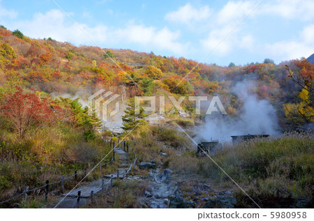 Komatsu Hell 5980958