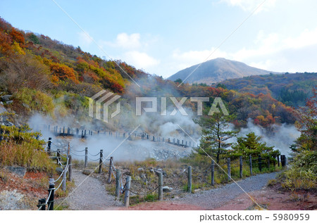 小鬆地獄 5980959