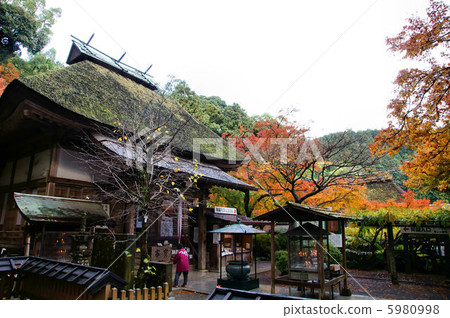 Taikodoji寺 Taikodoji寺 5980998