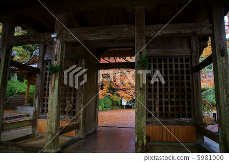 Taikodoji Temple 5981000