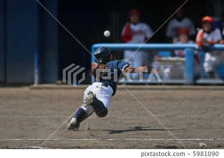 Women's baseball 5981090