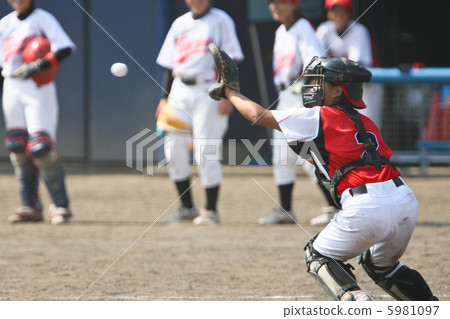 Women's baseball 5981097