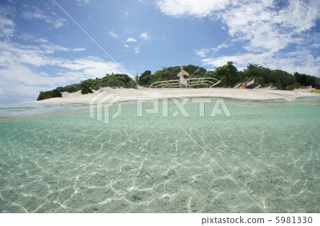 South Island 5981330