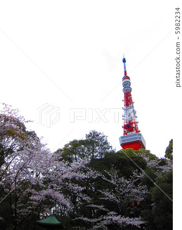 Spring Tokyo Tower Spring Tokyo Tower 5982234