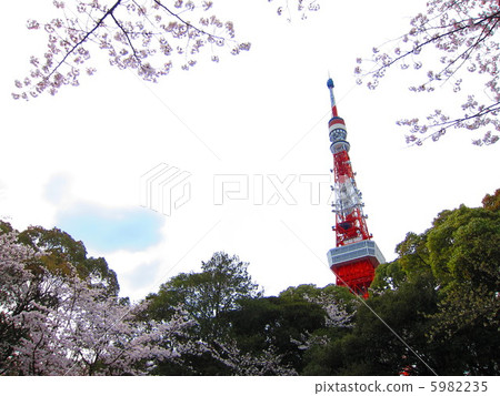 Spring Tokyo Tower 5982235