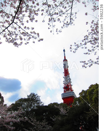 Spring Tokyo Tower 5982236
