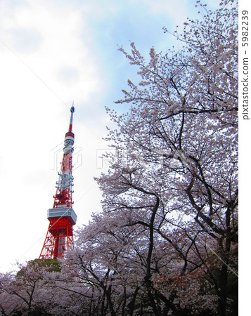 Spring Tokyo Tower Spring Tokyo Tower 5982239