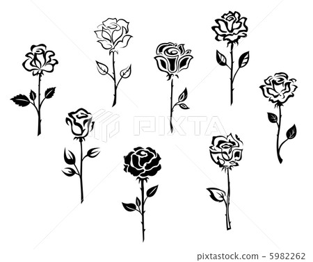 Rose flowers Rose flowers 5982262