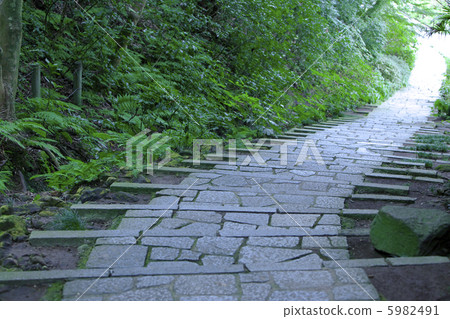Stone steps of Zuisenji 5982491