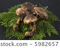 Matsutake 5982657