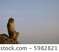 Sky and monkey 5982821