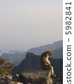 A sorrowful monkey 5982841