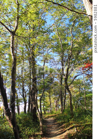 Saki no Mori徒步旅行路線 5982881