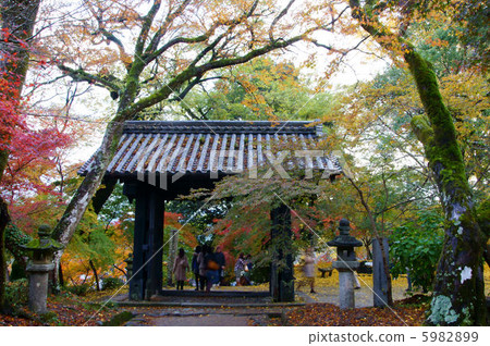 秋月城堡留下秋葉 5982899