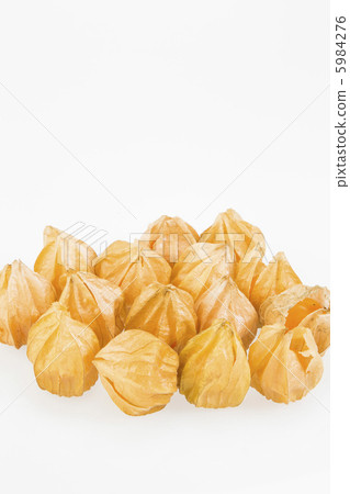 食用hozuki 5984276