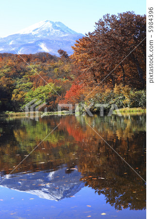 Invert Akita Fuji 5984396