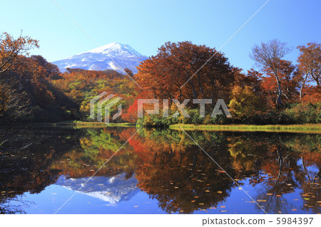 Invert Akita Fuji Invert Akita Fuji 5984397