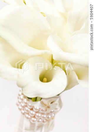 flowers flowers 5984407