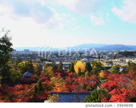 Eikan-do全景 5984699