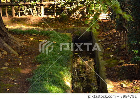 Walking in Musashino · Wild fire water stop in Hirin Walking in Musashino · Wild fire water stop in Hirin 5984791