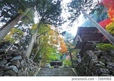 Yokono Yokofura Triple Tower 5984968