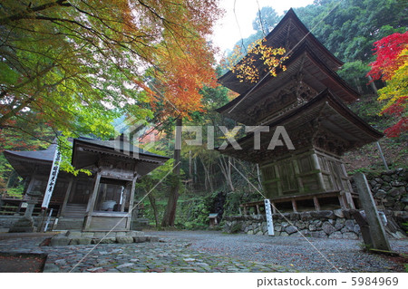 Bothing Mountains Yokodoji 5984969