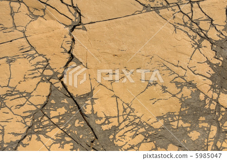 Detail of limestone surface, Croatia Detail of limestone surface, Croatia 5985047