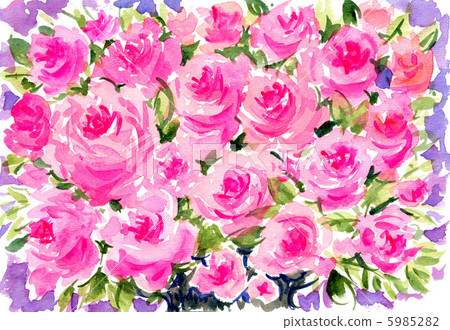 玫瑰 玫瑰花 花朵 5985282