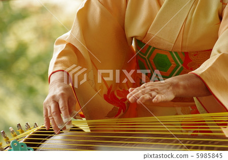 豎琴 5985845