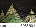 Snow hanging 5985904