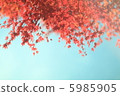 Autumn leaves from the sky 5985905