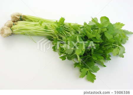 three-leaved  5986386